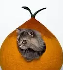 Bajra - Pumpkin Chariot Cat Cave